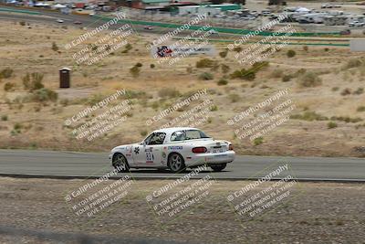 media/May-03-2025-Lucky Dog Racing (Sat) [[206de64b9d]]/Turn 4 B (1150am-130pm)/